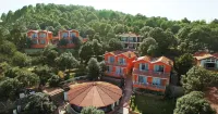 Essence of Nature, Ranikhet
