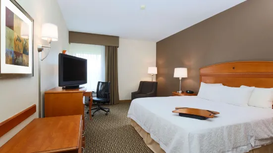 Hampton Inn Decatur/Forsyth