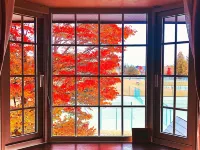 Appi Life is Beautiful