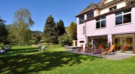 Logis Hotel des Vosges Отели в г. Митзаш