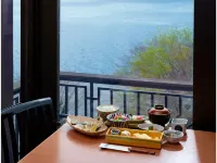 小田急山之酒店 - 山景