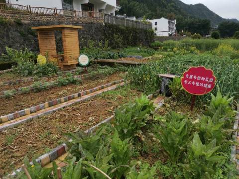 Jane榛果度假別墅 花屋隧道分店 淳安 優惠價錢預訂 22年最新比價和旅客評論 Trip Com