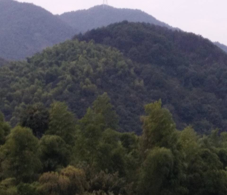 Yu Yao Gao Di Ling Nong Zhuang Yuyao Updated 22 Room Price Reviews Deals Trip Com Yu Yao Gao Di Ling Nong Zhuang Yuyao Updated 22 Room Price Reviews Deals Trip Com