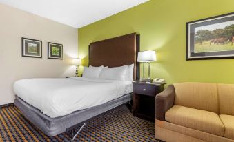 Comfort Inn & Suites Asheboro East