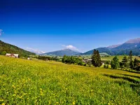 Relax Holiday Mur 21a Hotels in Murau