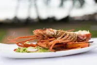 Le Cameleon Boutique Hotel - Pet friendly