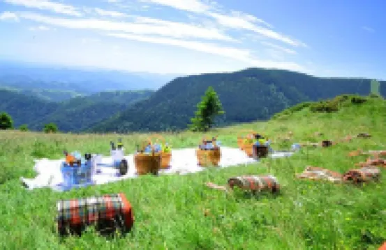 Hotel Djina - Kopaonik Hotels in Municipality of Raska