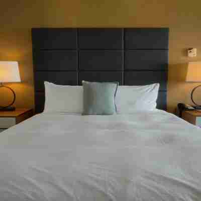 DoubleTree by Hilton Niagara Falls Rooms