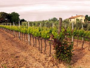 Il Giardino Dell'Osa