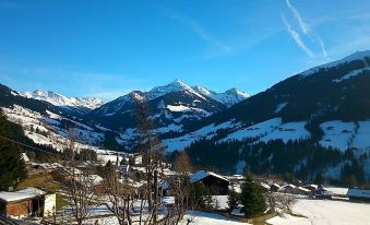 Alpbach Lodge Chalet Superior