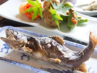 Gokasanso Hotel a Nanto