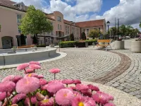 Hotel Maximilian Hotels near Osterholzer