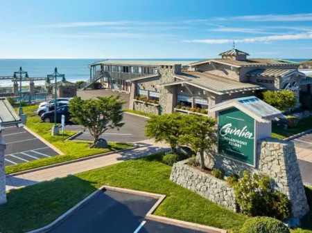 Cavalier Oceanfront Resort Отели рядом с достопримечательностью «Friends Of The Elephant Seal»
