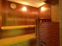 Conifer Iwabitsu - Spa