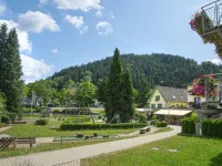 Hotel Waldblick Hotels in Schenkenzell