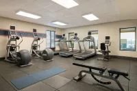 Hampton Inn Reading/Wyomissing - Gym