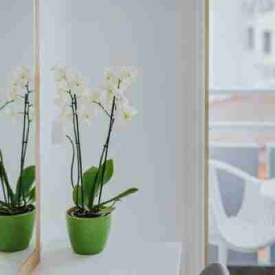Stephanie Studios Rooms