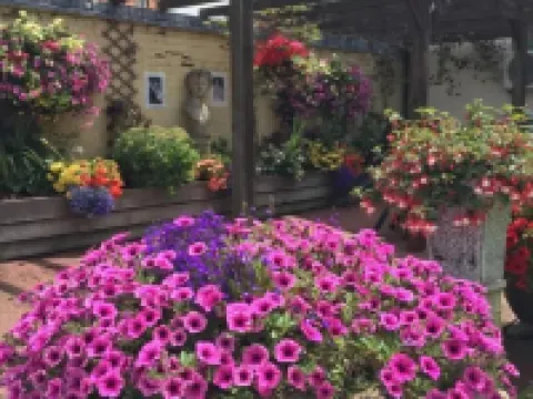 多靈頓飯店 霍爾斯特德住宿飯店