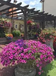 The Dorrington Hotels in Great Yeldham
