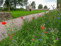 2 Primitive Mews Hotels in Taddington