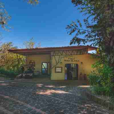 Finca Rosa Blanca Coffee Farm and Inn Hotel Exterior
