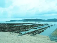 Dormy Inn Miyazaki Natural Hot Spring Hotels in Miyazaki