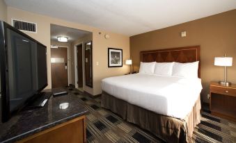 a large , well - made bed is in a hotel room with a sink and an open door at Hotel Executive Suites