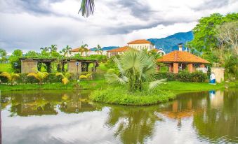 a serene scene with a small pond surrounded by lush greenery , including palm trees and grass at Casa Bohemia