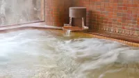 Fuigo Onsen Hotels in Mima