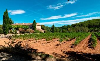 Domaine du Clos d'Alari-Chambres d'Hotes au Milieu des Vignes