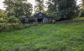 Rustic and Authentic Farm Stay by DuPont Forest!