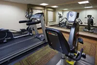 La Quinta Inn by Wyndham Minneapolis Airport Bloomington - Phòng tập thể hình