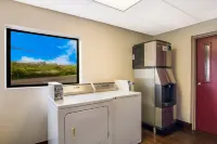 Red Roof Inn Allentown South Hotels in Center Valley