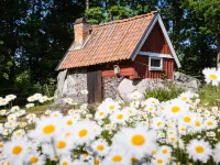 Matvik
