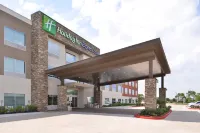 Holiday Inn Express & Suites Houston E - Pasadena by IHG Hotels in Pasadena