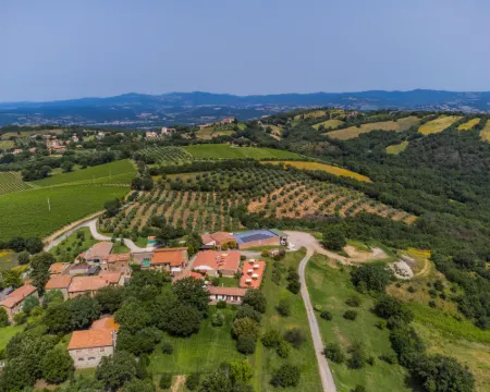 Ciliegiolo Hotels in Cinigiano