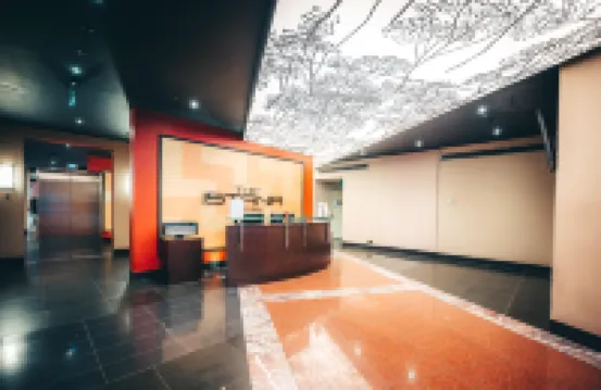 Molly's Little Apartments