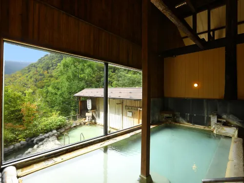 Shirafune Grand Hotel - Bjergudsigt