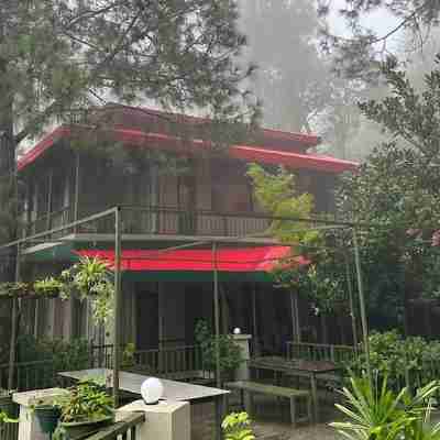 7 Pines Kasauli Hotel Exterior