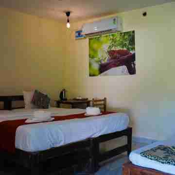 Tadoba Safari Stay Nature's Sprout Rooms