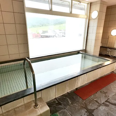 Resort Inn Marion Shinano