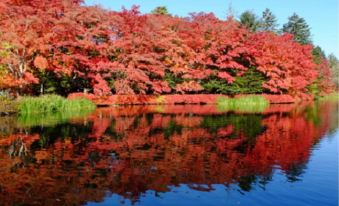 Hotel Rosso Karuizawa