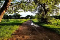 Vriksh Jawai the Farm Stay Hotels in Sumerpur