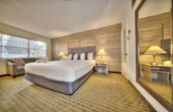 海灘俱樂部華麗度假村