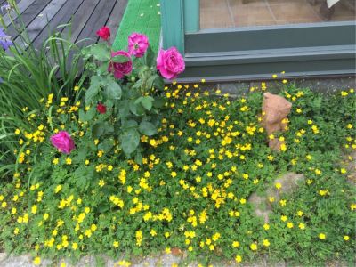 共有エリア プチホテル＆レストラン オールドエイジの写真