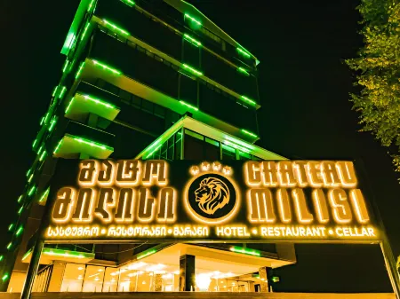 Chateau Milisi Отели в г. Силибаури