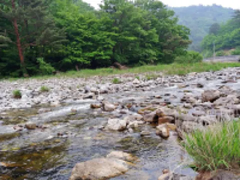 Yang Yang Sangol Yeohang Pension