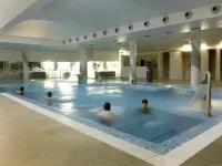 Palace Hotel & Spa - Termas de Sao Vicente Hotels in Castelo de Paiva