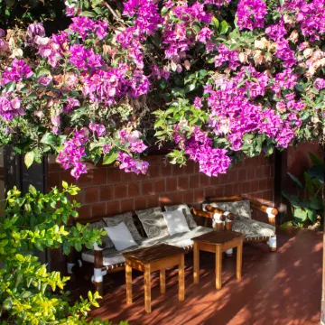 Hotel Boutique la Candela