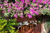 Hotel Boutique la Candela Hotels in 